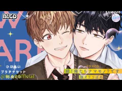 Bl Cd