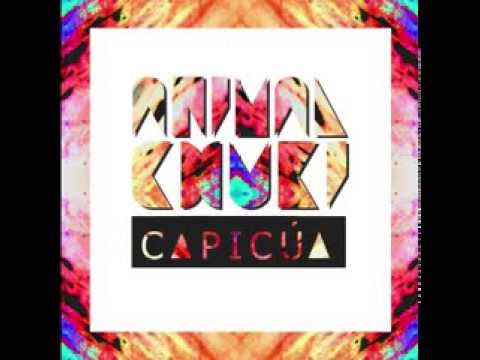 Animal Chuki - Capicúa