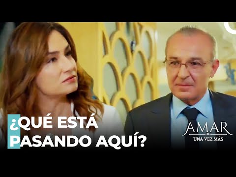 Redada De Comida De Nejat - Amar Una Vez Más