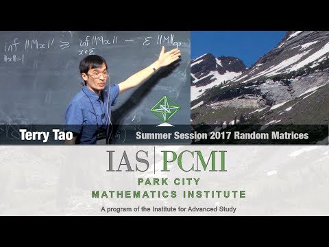 Terry Tao (1.2) Universality for random matrix ensembles of Wigner type, part 1.2