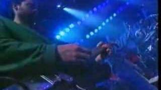 Spiderbait - Sam Gribbles