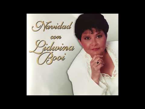 Lidwina Booi - Navidad sin Hogar