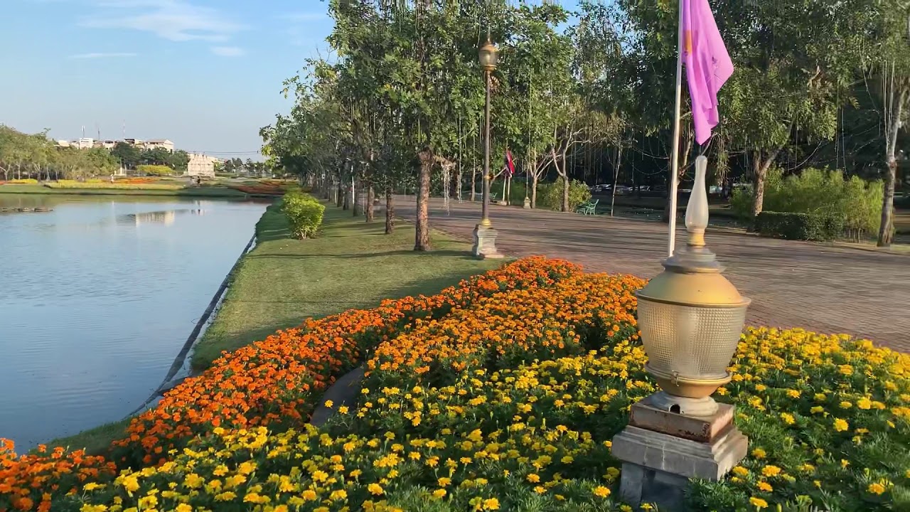 Discover captivating highlights of King Rama IX Memorial Park.