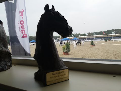 CK2021 | Sportmatinee | 17 September 2021