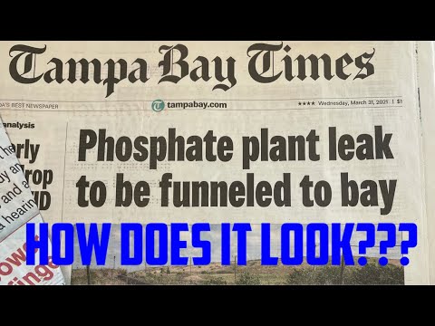 Piney point water quality visual report!