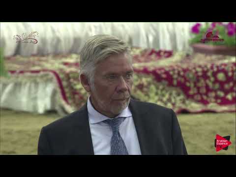 N 29 FADAL AL NAAMAN   2019 Al Shaqab Arabian Horse Show Festival   Colts 3 Years Old Class 2