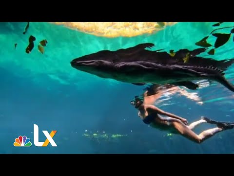 Explore the Yucatan Peninsula's Ancient Caves and Cenotes with LX News Host Tabitha Lipkin | NBCLX