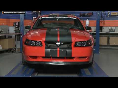 Mustang Graphics Vinyl Installation Kit - Standard and Deluxe Review & Install