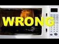 13 Random Things You Shouldn T Microwave