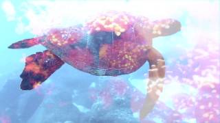 Sound of Ceres – Antiprism (Official Music Video)