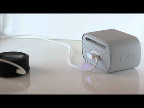 Smart Disc Leinensicherung