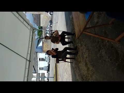 Mélodie Pourlet LE STRAT/LE GAL  - St Yves 2018