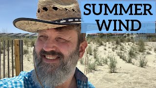 Summer Wind / Johnny Mercer / Frank Sinatra / Wayne Newton / Barry Manilow / cover