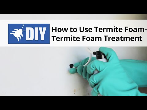  How to use Termite Foam - Termite Foam Treatment Video 