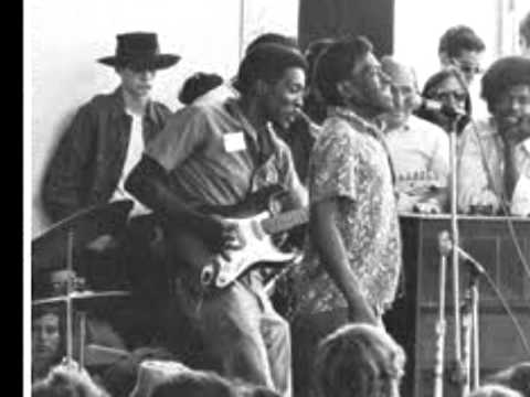 James Cotton & Junior Wells-Down Home Blues