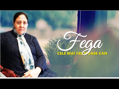 SORA FEGA  //  CELE MAI FRUMOASE CANTARI  // COLAJ