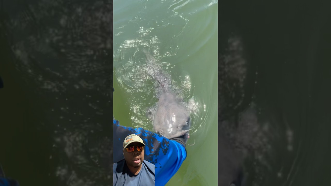 How to Properly Revive and Release Big Fish After Catching