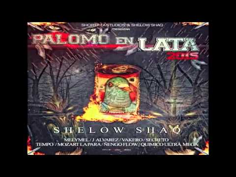 Palomo en lata - 2015. Varios artistas