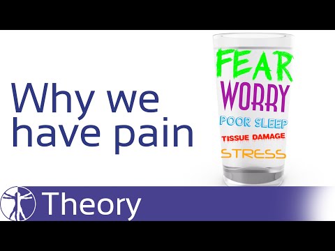 The Water Cup Analogy | Why We Have Pain