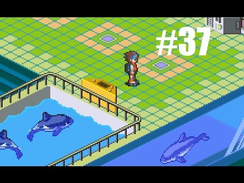 Let's Play Mega Man Battle Network 6 Cybeast Falzar #37 - Count on It