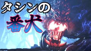 【MHWilds】煌黒共の初見狩猟記part17【VS護竜オドガロン亜種】