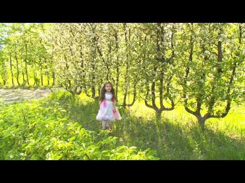 Victorița Dorin - Vine primăvara