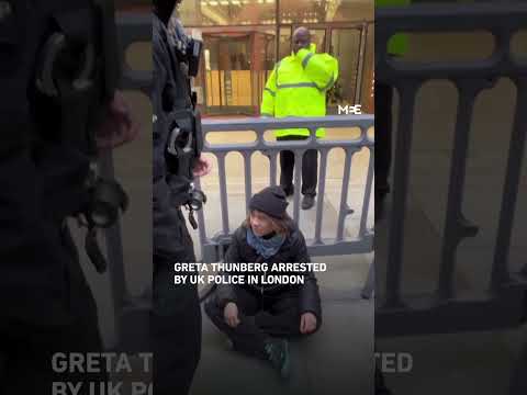 Greta Thunberg arrested at protest for Palestine Action prisoners