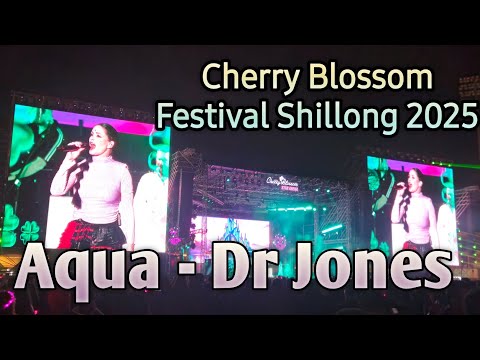 Aqua - Dr Jones Cherry Blossom Festival Shillong 2025