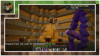 You Want To Be Quiet Bees Kill The Queen Bee (Mod) - Minecraft