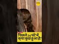 Roshni Walia Turns Heads With Her Stunning Look On The Red Carpet