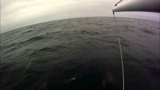 Transatlantic Family Voyage 2011