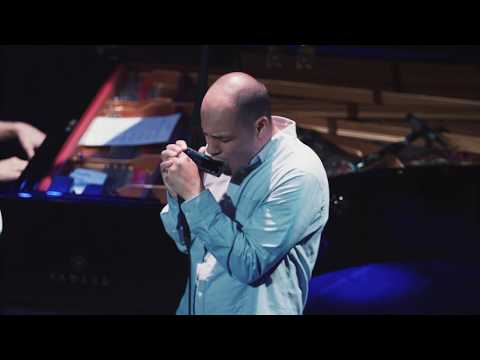 Grégoire Maret - Romain Collin Duo - Schaffhauser Jazzfestival 2018