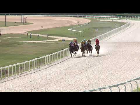 20200802 04. futam - NÉMETH FERENC EMLÉKKUPA II. FUTAMA HENDIKEP (V/b.)(szintetikus pálya)