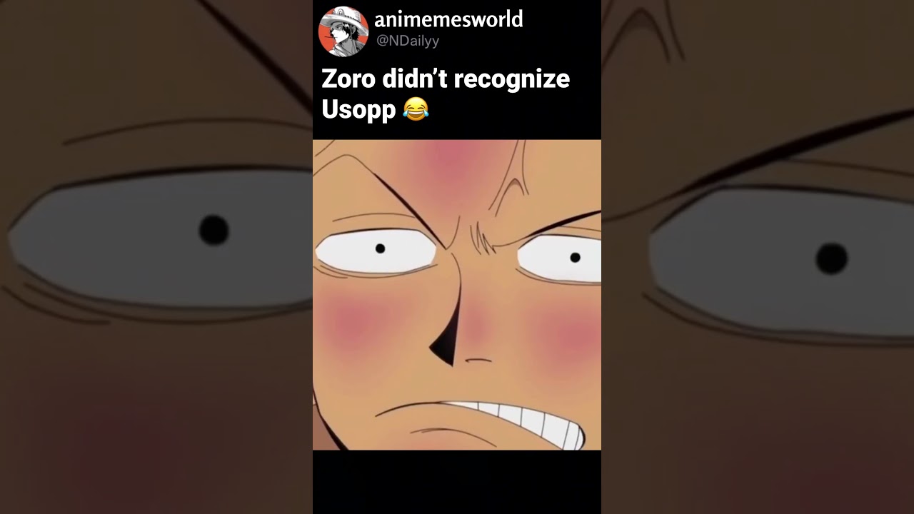 Zoro took 30 seconds to recognize Usopp 😂😂  #anime #onepiece #youtubeshorts