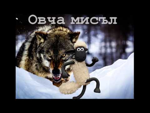 Yani MC - Овча мисъл (2015)