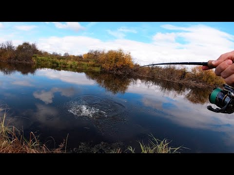 Фото СПАЛИЛИ ТОЧКУ! ГАВРИЛЫ ВЫКОСИЛИ ЩУКУ! Рыбалка на спиннинг.  Осеняя щука на воблеры.