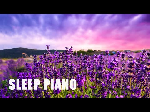 12 Hours of Relaxing Music - Piano Music for Stress Relief, Sleep Music, Meditation Music (Remy)