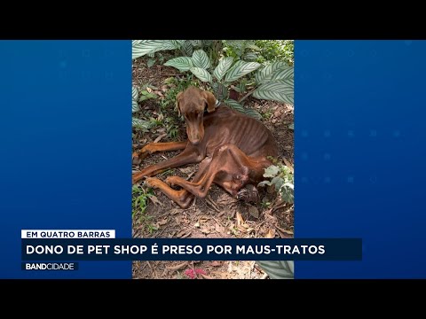 Dono de pet shop é preso por maus-tratos em Quatro Barras