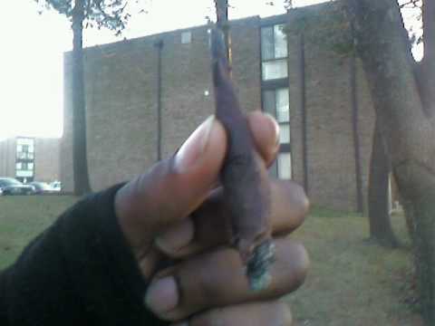 BIG.PZ REASON_0001.wmv