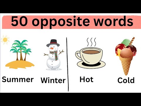 50 opposite words for kids | antonyms Words for kids | english opposite words | opposite words ||