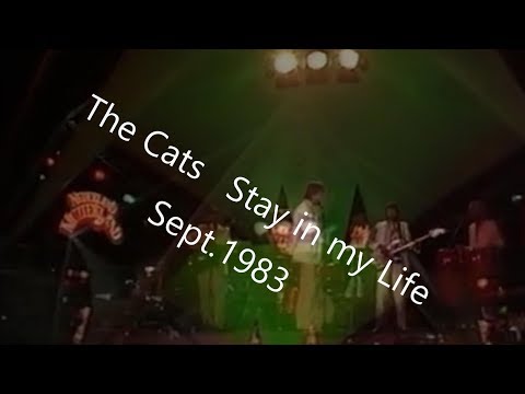 The Cats   Stay in my life  1983