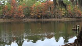 preview picture of video 'Caddo Lake Time lapse 2'