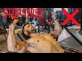 How to PROPERLY Dumbbell Incline Press | 3 Variations for Muscle Gain