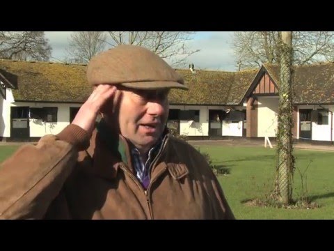 Cheltenham 2016: Nicholls & Henderson on their Triumph Hurdle runners