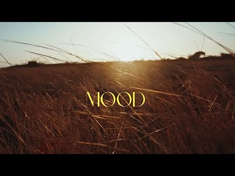 SiaSai - MOOD