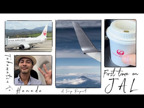 Miniatura YouTube dla JAL Boeing 737-800 (winglets) Passenger/BBJ2