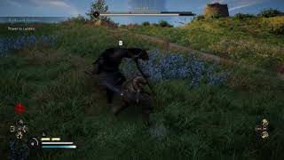 Assassin&#39;s Creed Valhalla - Why you DON&#39;T want the Zealots Hunting you!!