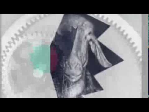 Proudly People - Altitude