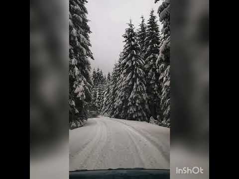 plimbare prin zapada spre zabratau