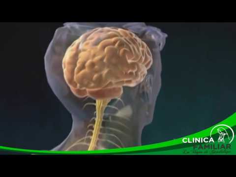 De almendras-beneficio o daño para la diabetes Desayuno para diabéticos obesos